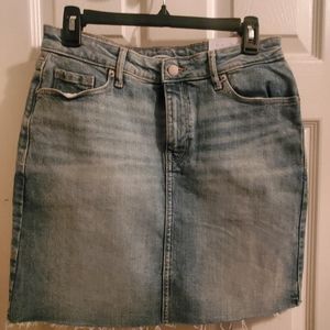 Woman's Skirt